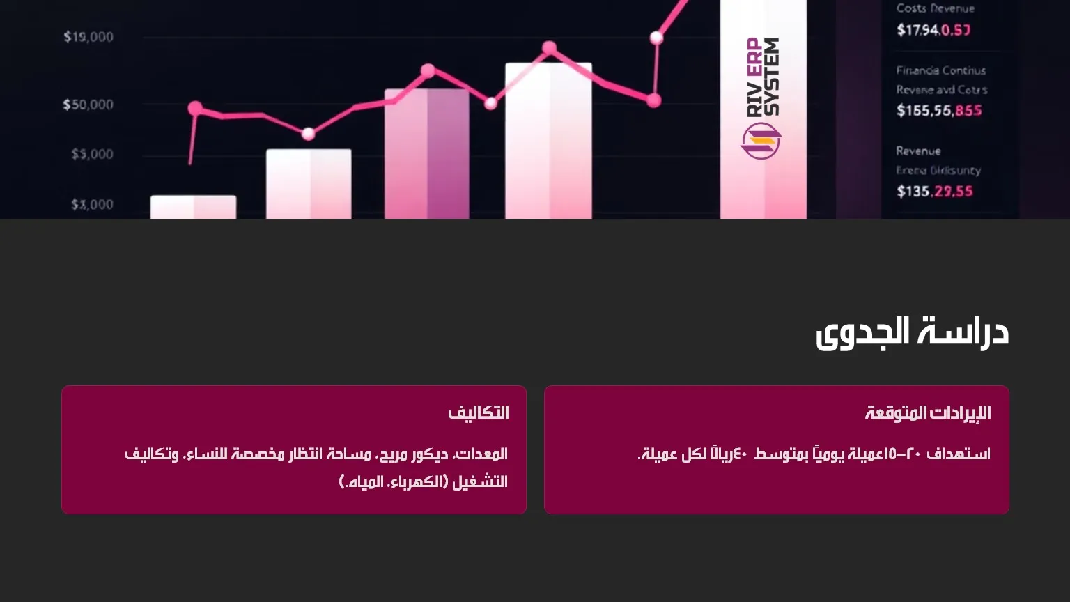 دراسة الجدوى